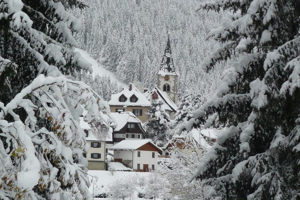Mellex Fewo Feldberg (Baden-Wurttemberg) Exterior foto